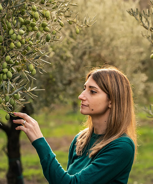 Fratelli Saletti - Azienda Agricola