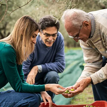Azienda Agricola Fratelli Saletti