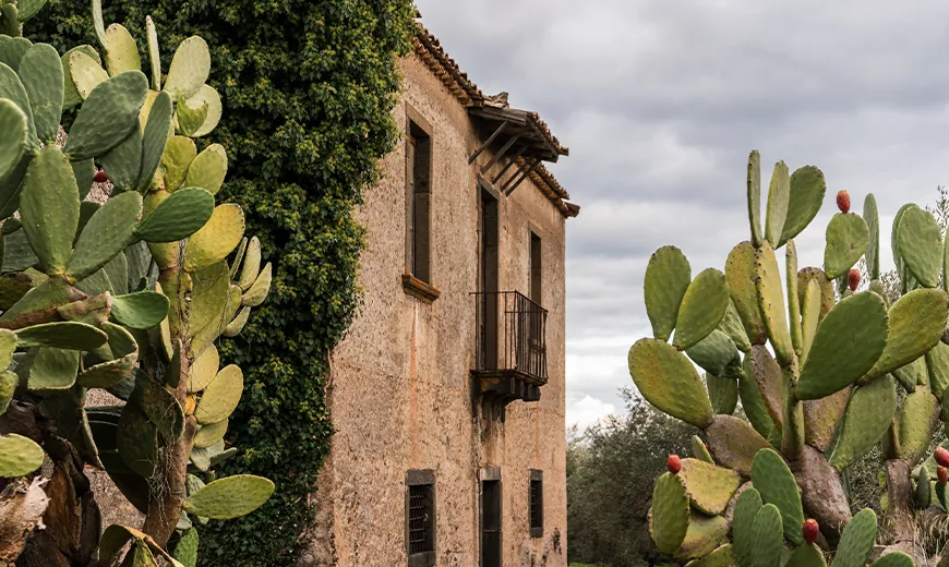 Azienda Agricola Fratelli Saletti